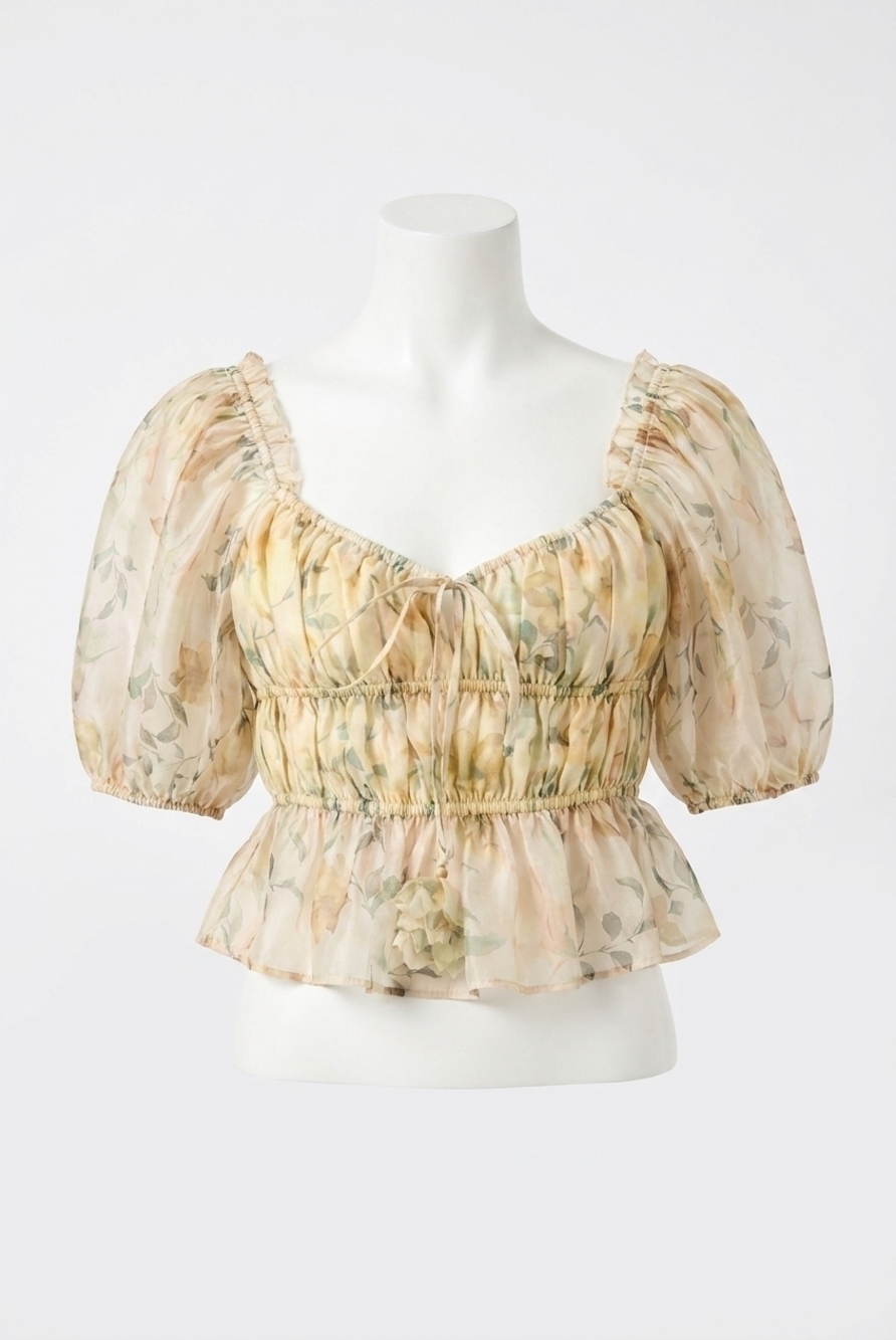 NEW EN SAISON elliot organza top in beige